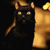 darkness34575