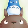 zoroo172