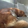 billyandlenny
