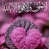rayaanali49