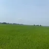 gmhh150