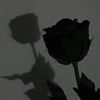 rose_sol3