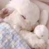 mulberry_bunny