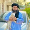 shahzad bhatti (110)