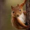 dominik_112233