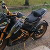 shegy0300