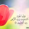abdellahdouila1