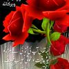 sayera_45