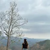nganthuc1230