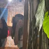 tthuy28
