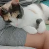meandmycalico