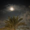 wafi.2228