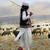 shwanag_the_shepherd