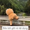 jxbibi020603