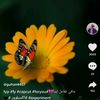 denizim_888