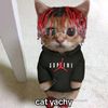 playboinotcarti1