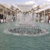 fawazabuayham