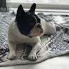emilie_aaland