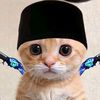 sagaaww