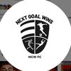 nextgoalwinsfc0