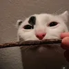 itsnotme270