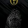 ma7ad45