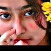 user53431600
