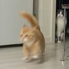 mimimimiami