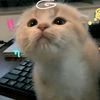 userwedg3wxu7b