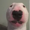 _sysiaa_