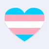 gay_transftm15