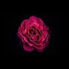 mairi21903687