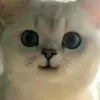 tieu_vy_vy04