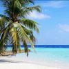 yehia_mohamad