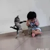 xinhganchec