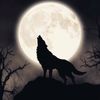 wolfgirl.037
