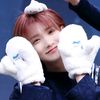 lee.amaryllis_01