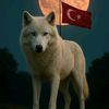 lider_bozkurt_63