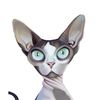 Sphynxlair
