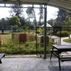 raj33631243333