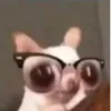 _morenamara_