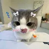ng_dieemw