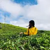 nhattinhdungdung