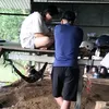 jangnguyen17