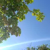nguyenthuytrang_0203