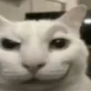 ‍͏‍znxx