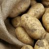 potatoinmyass2