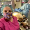 vetnurseerin