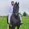 arslanawanshani