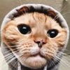 getgex